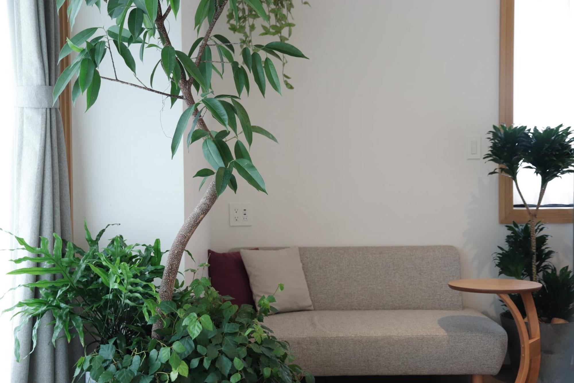 Hotel Noum Osaka Værelse billede